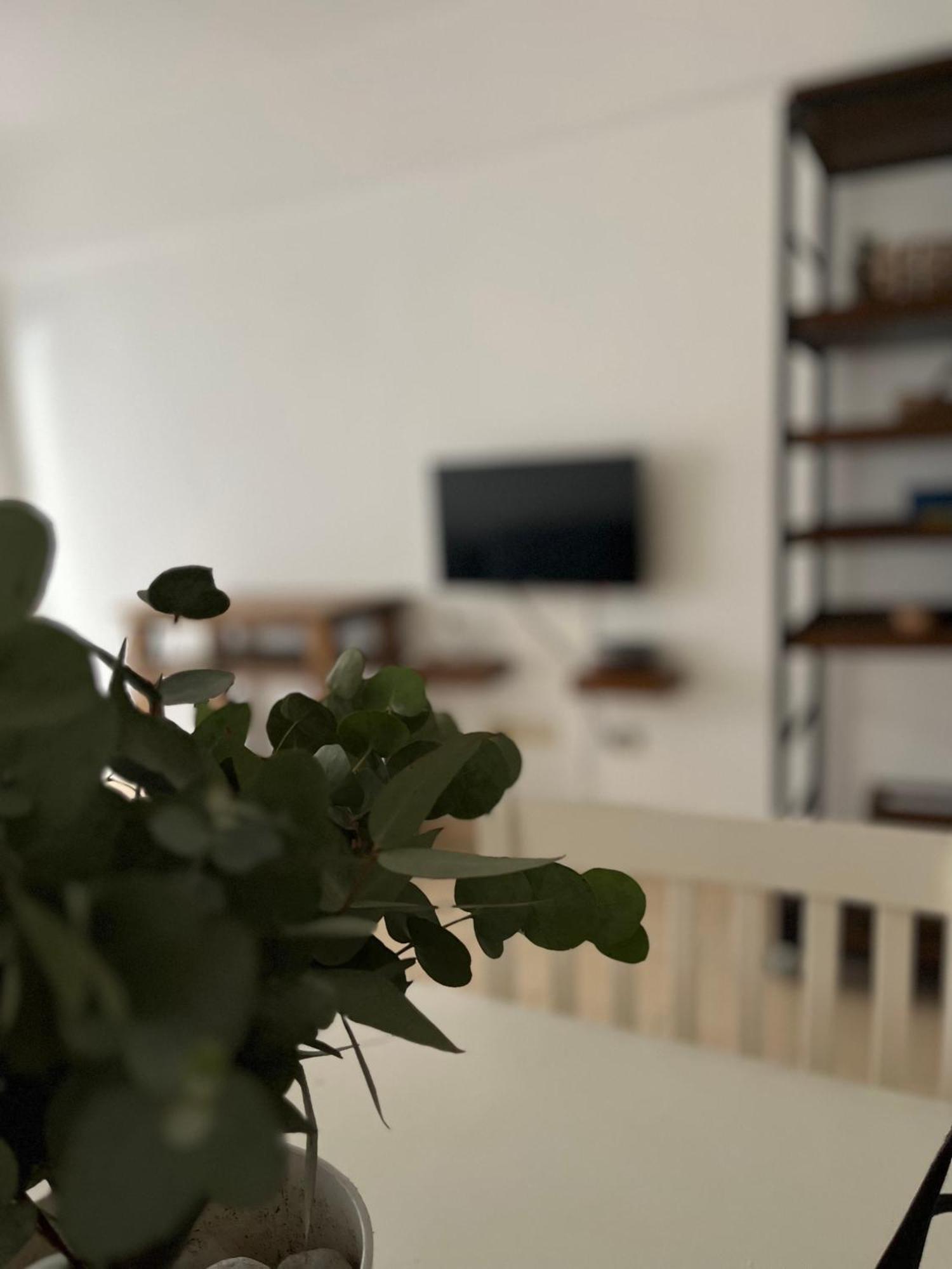 Baires Garden Apartment Buenos Aires Ngoại thất bức ảnh